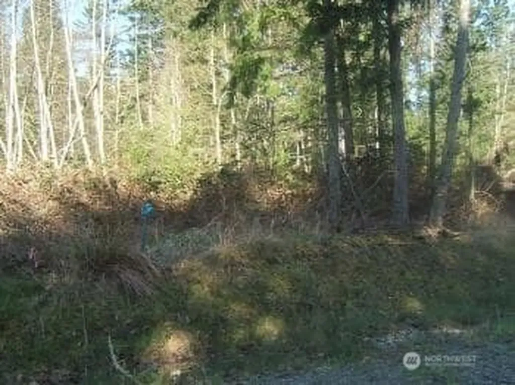 8406 112th Avenue Anderson Island WA 98303