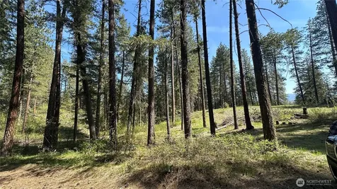 13 Sundance Lane Winthrop WA 98862