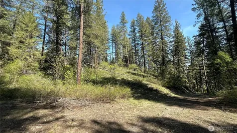 13 Sundance Lane Winthrop WA 98862