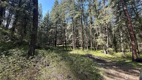 13 Sundance Lane Winthrop WA 98862
