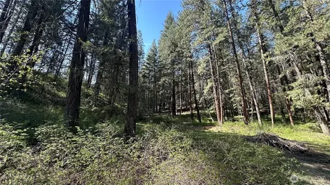 13 Sundance Lane Winthrop WA 98862