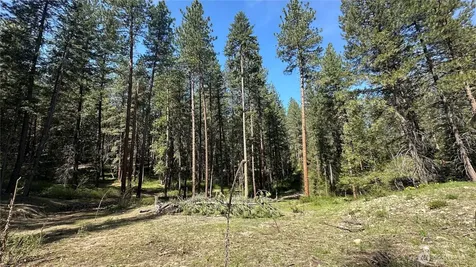13 Sundance Lane Winthrop WA 98862