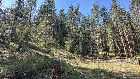 13 Sundance Lane Winthrop WA 98862
