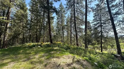 13 Sundance Lane Winthrop WA 98862