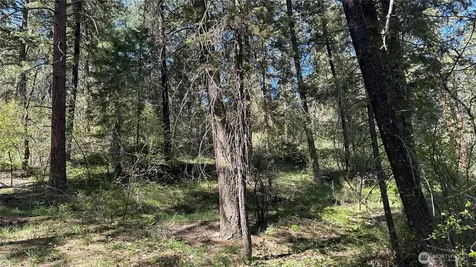 13 Sundance Lane Winthrop WA 98862