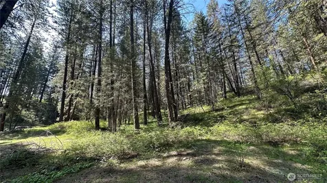13 Sundance Lane Winthrop WA 98862