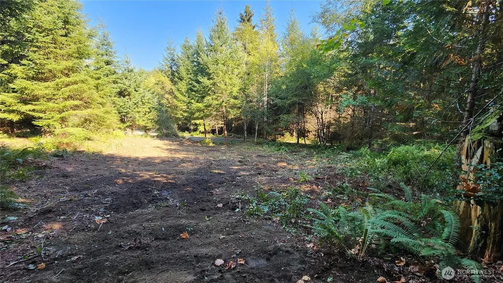 5728 Duane Lane NW Olympia WA 98502