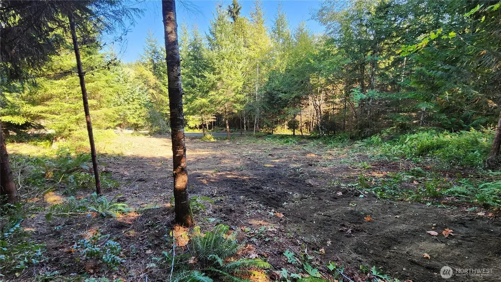 5728 Duane Lane NW Olympia WA 98502