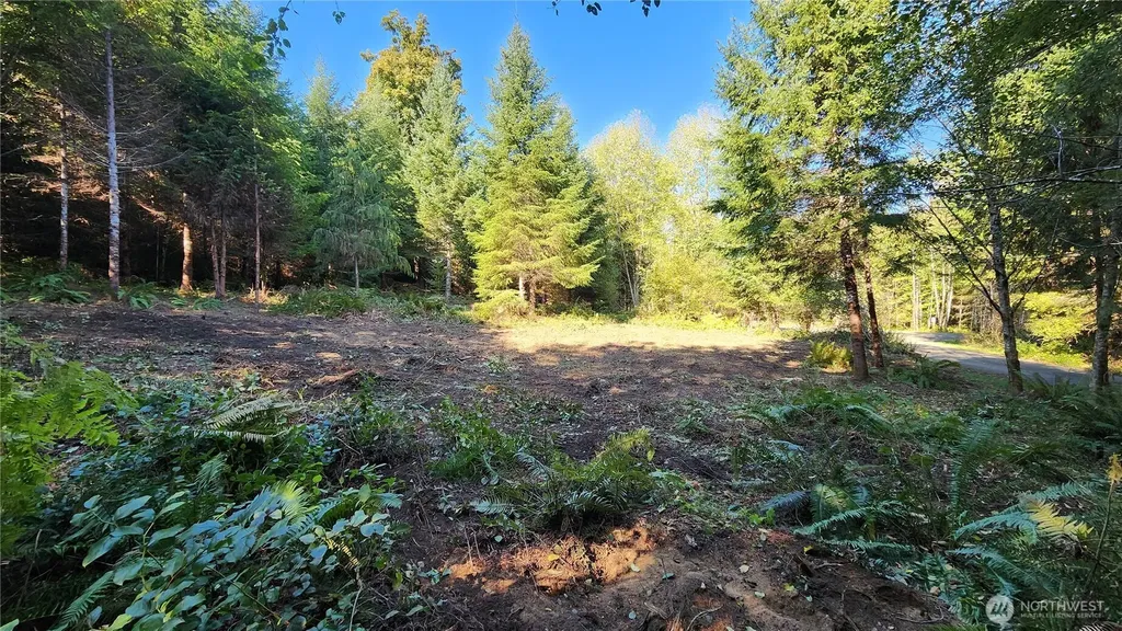 5728 Duane Lane NW Olympia WA 98502