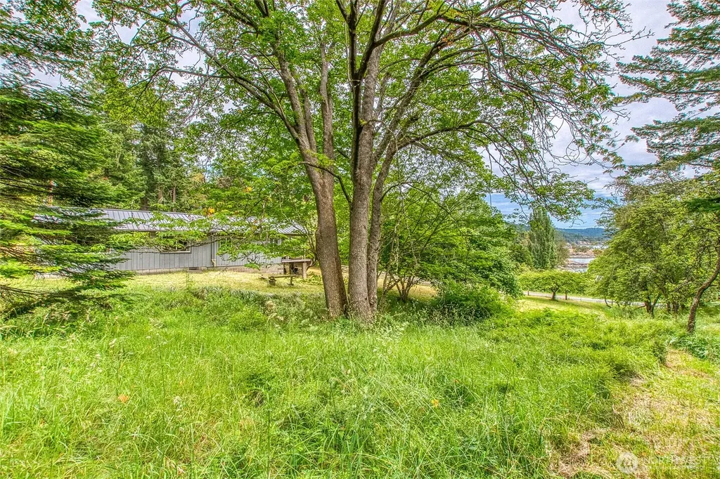 3388 Deer Harbor Road Orcas Island WA 98243
