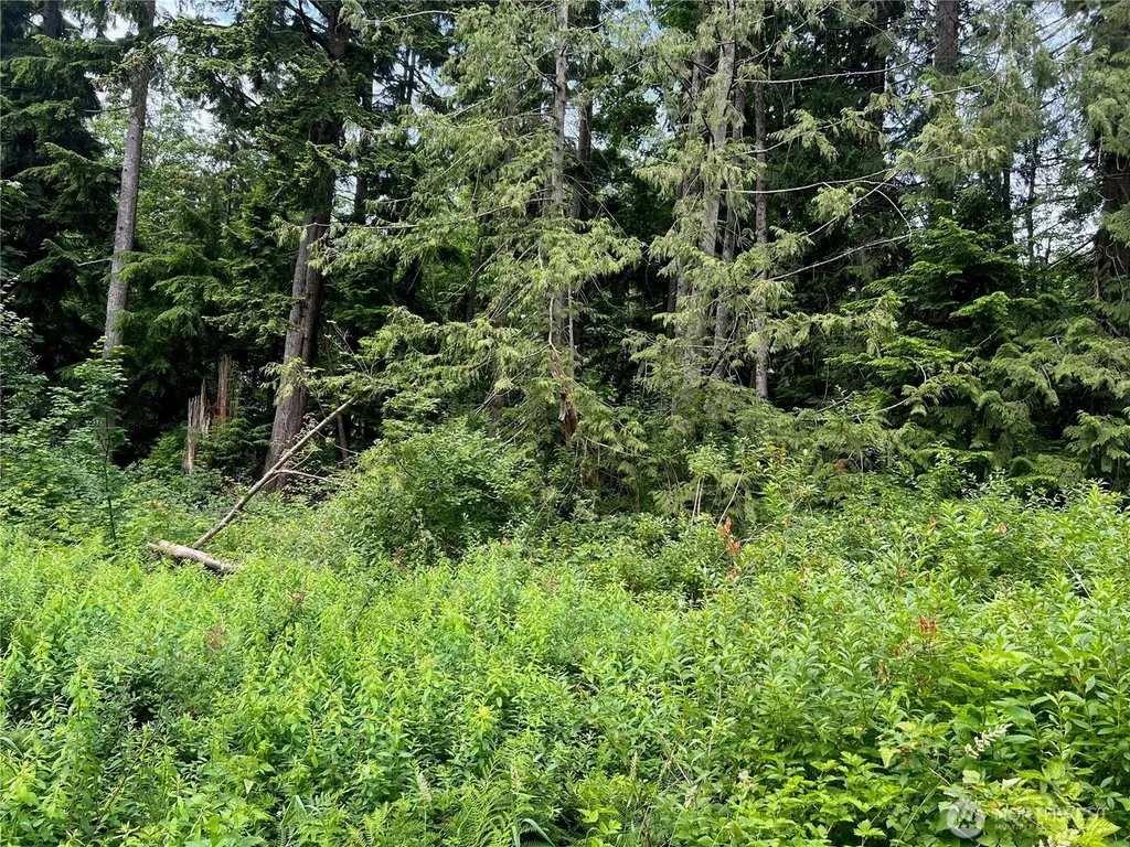 0 Cain Lake Road Sedro Woolley WA 98284