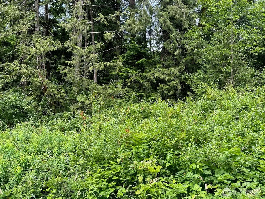 0 Cain Lake Road Sedro Woolley WA 98284