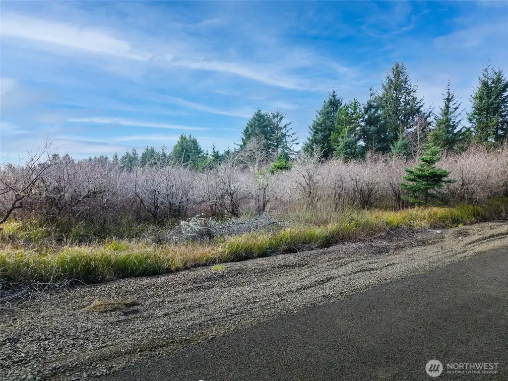 1610 147th Place Long Beach WA 98631
