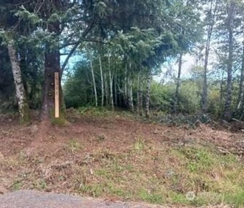 1610 147th Place Long Beach WA 98631