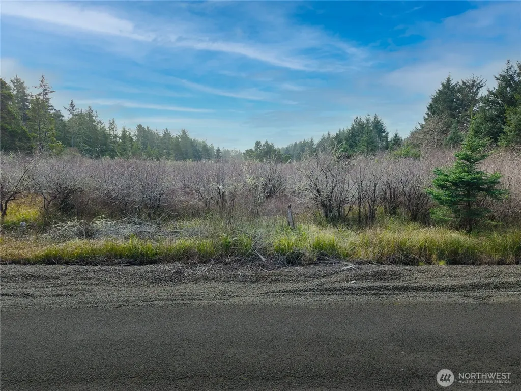 1610 147th Place Long Beach WA 98631