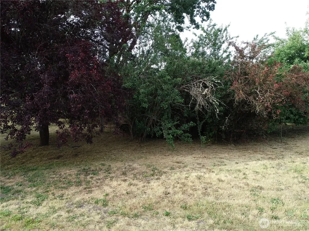 312 2nd Street W Roy WA 98580