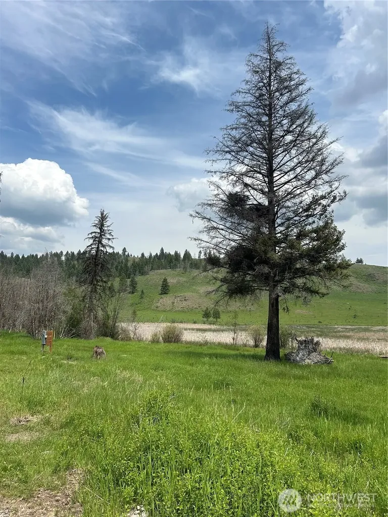 190 Bunch Road Wauconda WA 98859