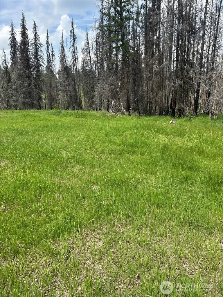 190 Bunch Road Wauconda WA 98859