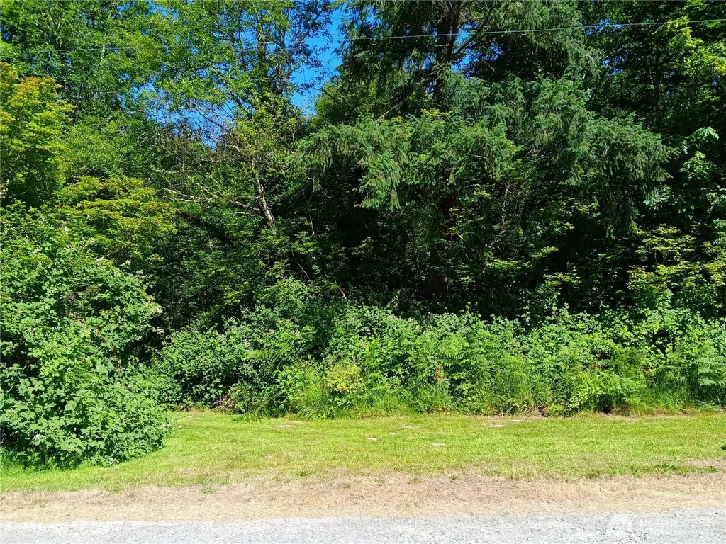 22606 Paul Bunyan Yelm WA 98597