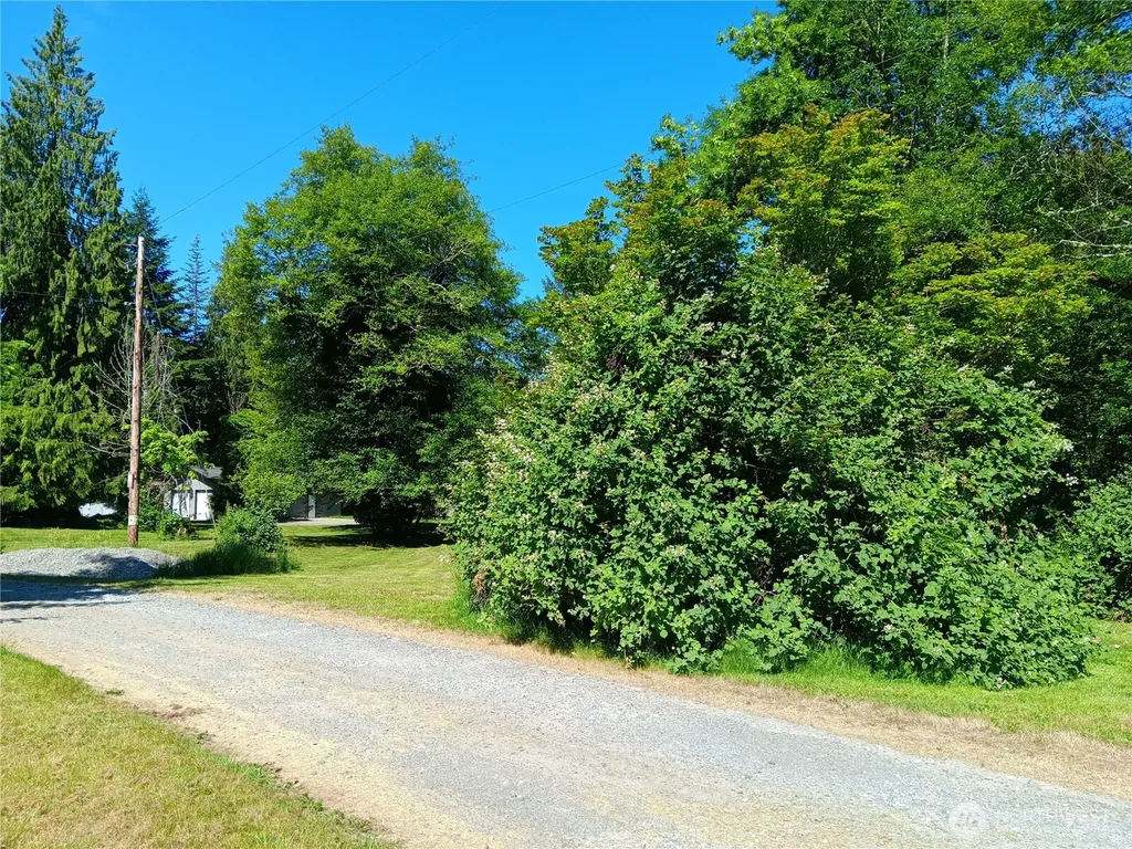 22606 Paul Bunyan Yelm WA 98597