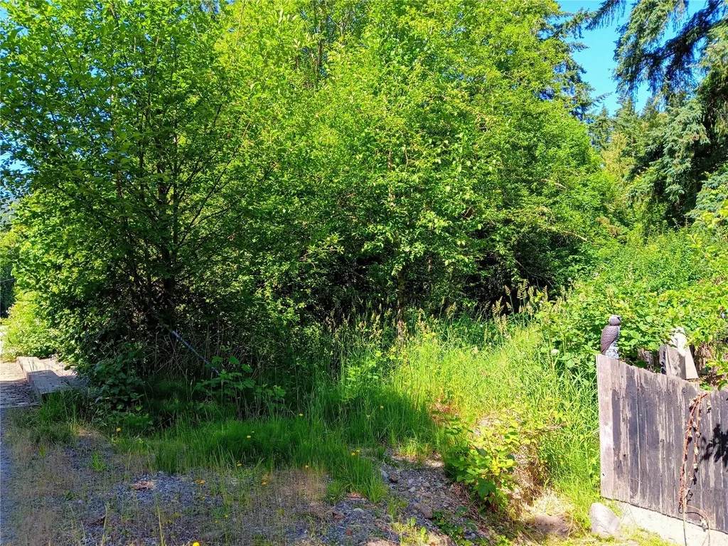 22606 Paul Bunyan Yelm WA 98597