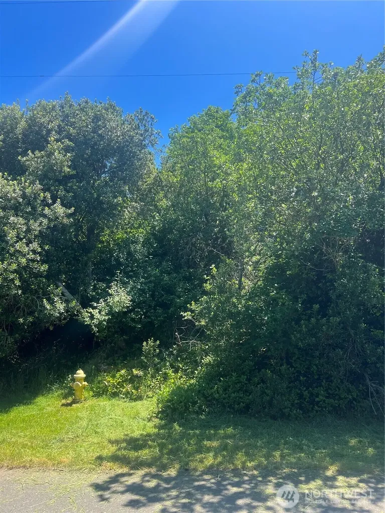 849 Hake Court SW Ocean Shores WA 98569
