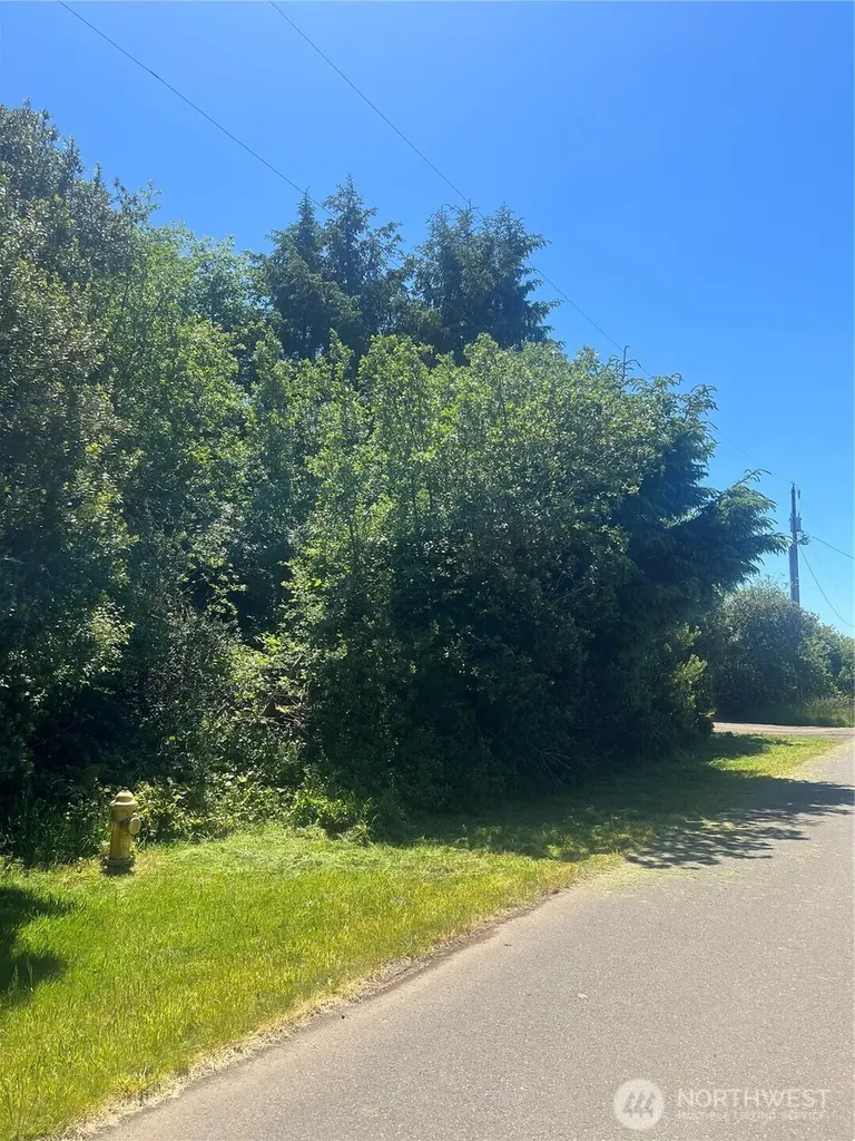 849 Hake Court SW Ocean Shores WA 98569