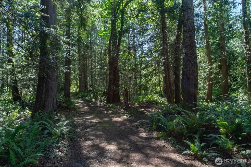 160 Wildwood Shores Brinnon WA 98320