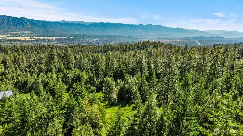29 Forest Ridge Drive Cle Elum WA 98922