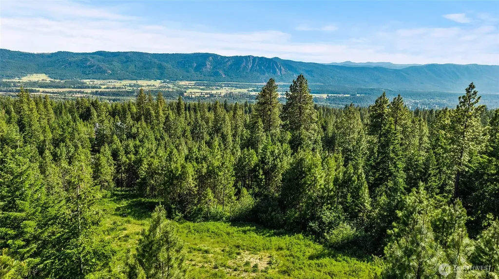 29 Forest Ridge Drive Cle Elum WA 98922
