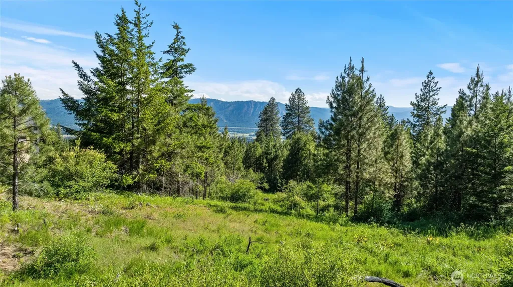 29 Forest Ridge Drive Cle Elum WA 98922