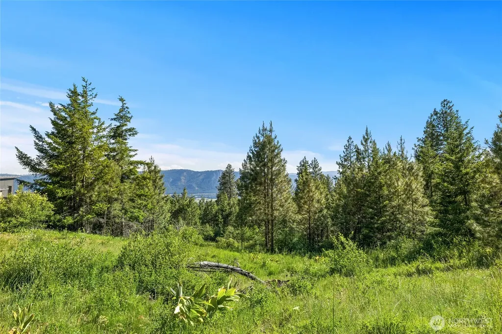 29 Forest Ridge Drive Cle Elum WA 98922