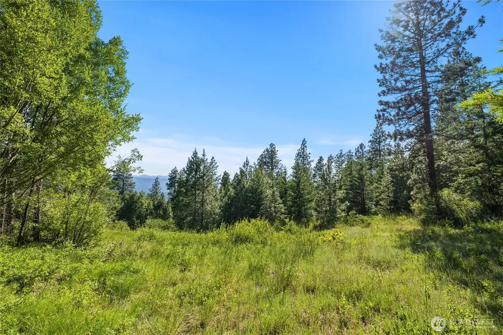 29 Forest Ridge Drive Cle Elum WA 98922