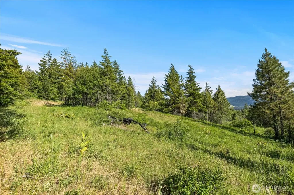 29 Forest Ridge Drive Cle Elum WA 98922