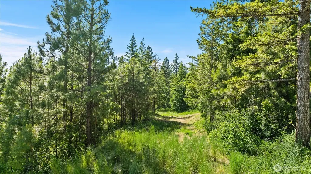 29 Forest Ridge Drive Cle Elum WA 98922