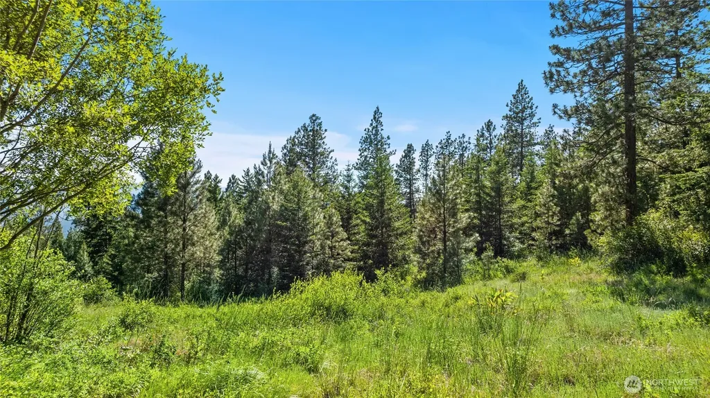 29 Forest Ridge Drive Cle Elum WA 98922