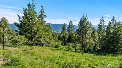 29 Forest Ridge Drive Cle Elum WA 98922