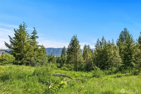 29 Forest Ridge Drive Cle Elum WA 98922