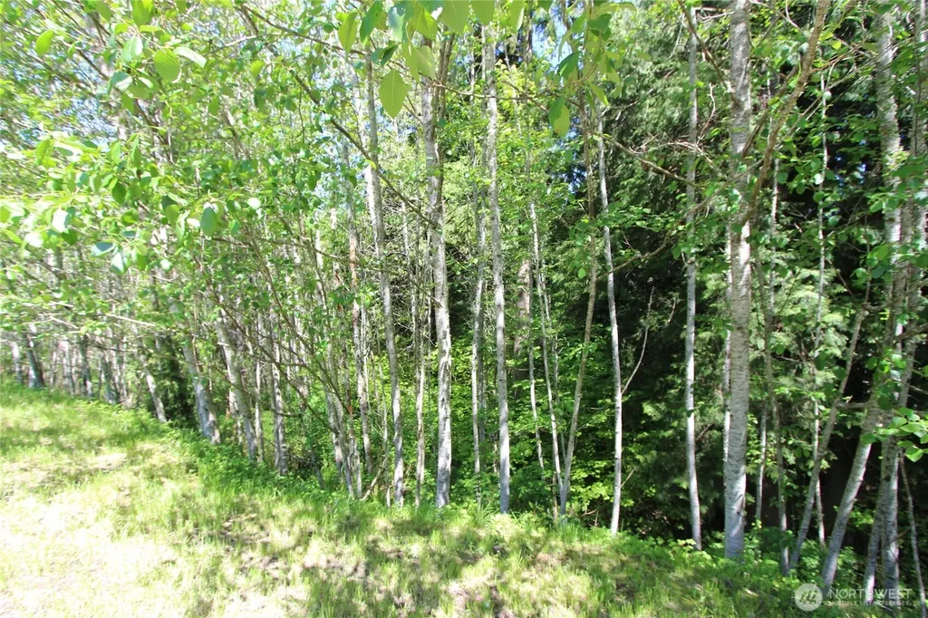 4621 Beaver Pond Drive S Mount Vernon WA 98274