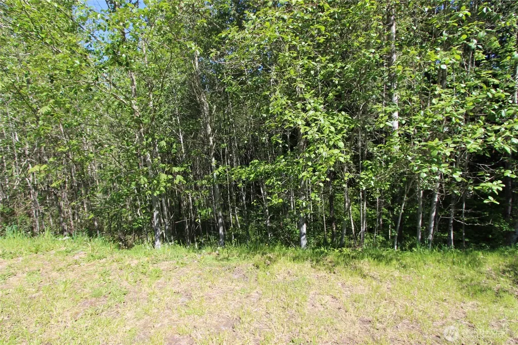 4621 Beaver Pond Drive S Mount Vernon WA 98274