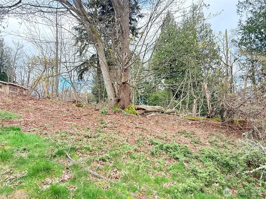 37 Beach Way Hat Island WA 98206
