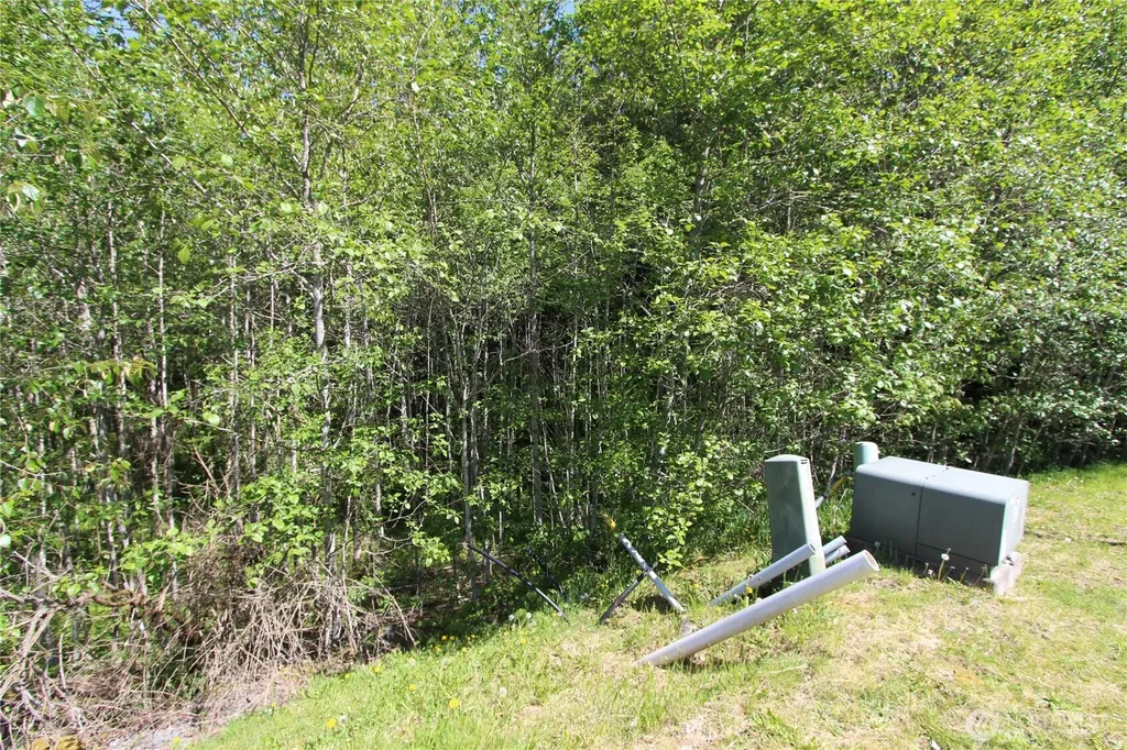4619 Beaver Pond Drive S Mount Vernon WA 98274