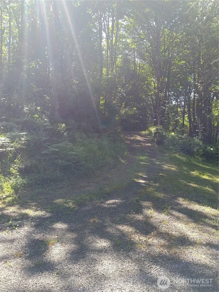1053 SE Binns Swiger Loop Road Shelton WA 98584