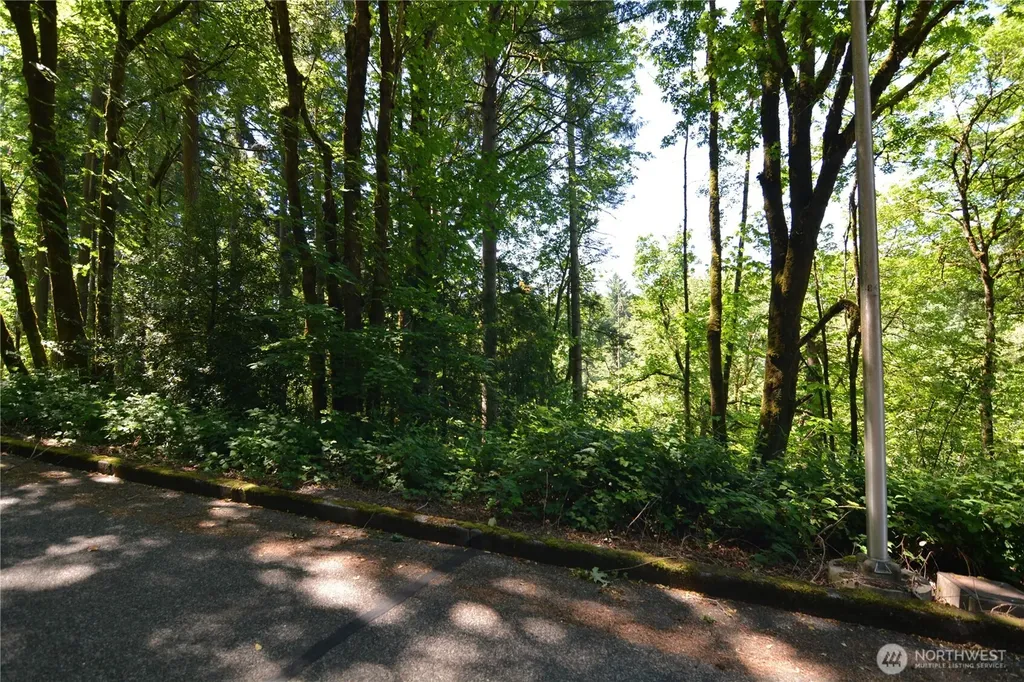 2429 Archwood Drive Longview WA 98632