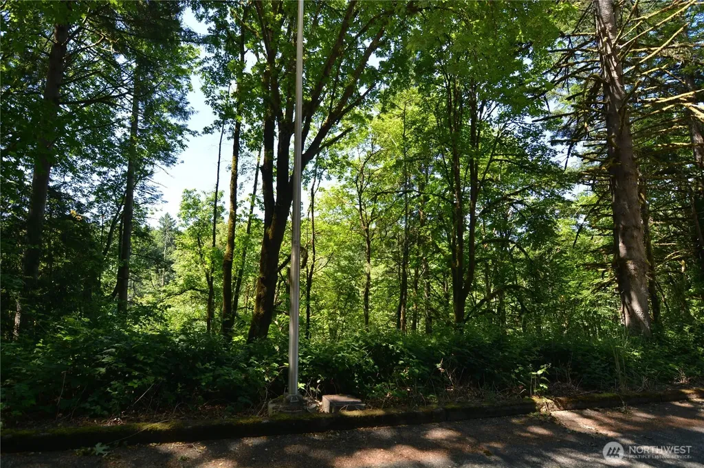 2429 Archwood Drive Longview WA 98632