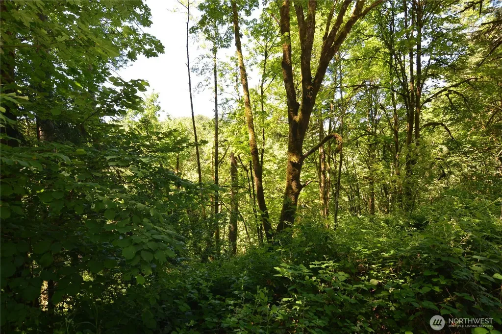 2429 Archwood Drive Longview WA 98632