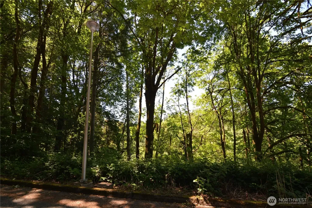 2429 Archwood Drive Longview WA 98632