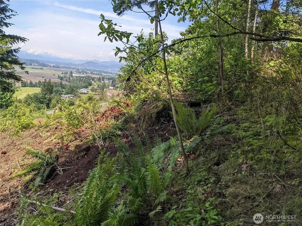 4135 Kamphouse Drive Sumas WA 98295