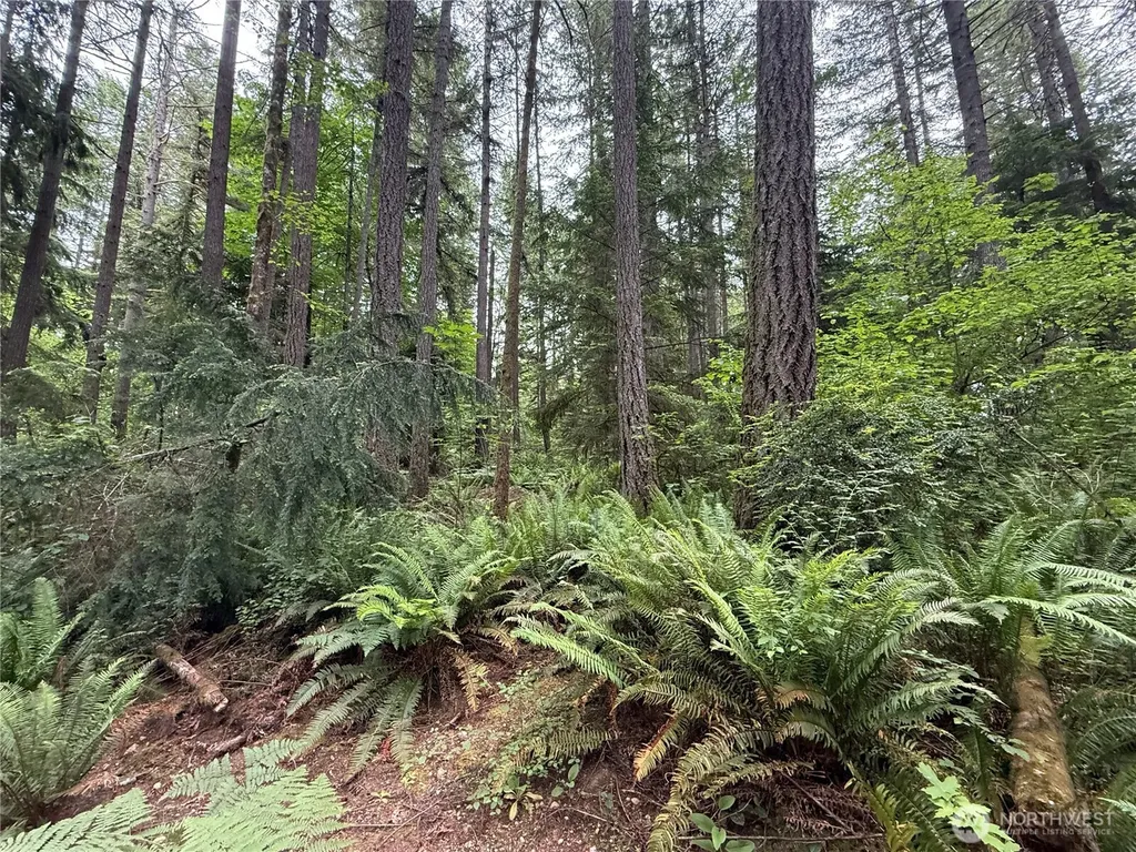 13257 118th Avenue NW Gig Harbor WA 98329