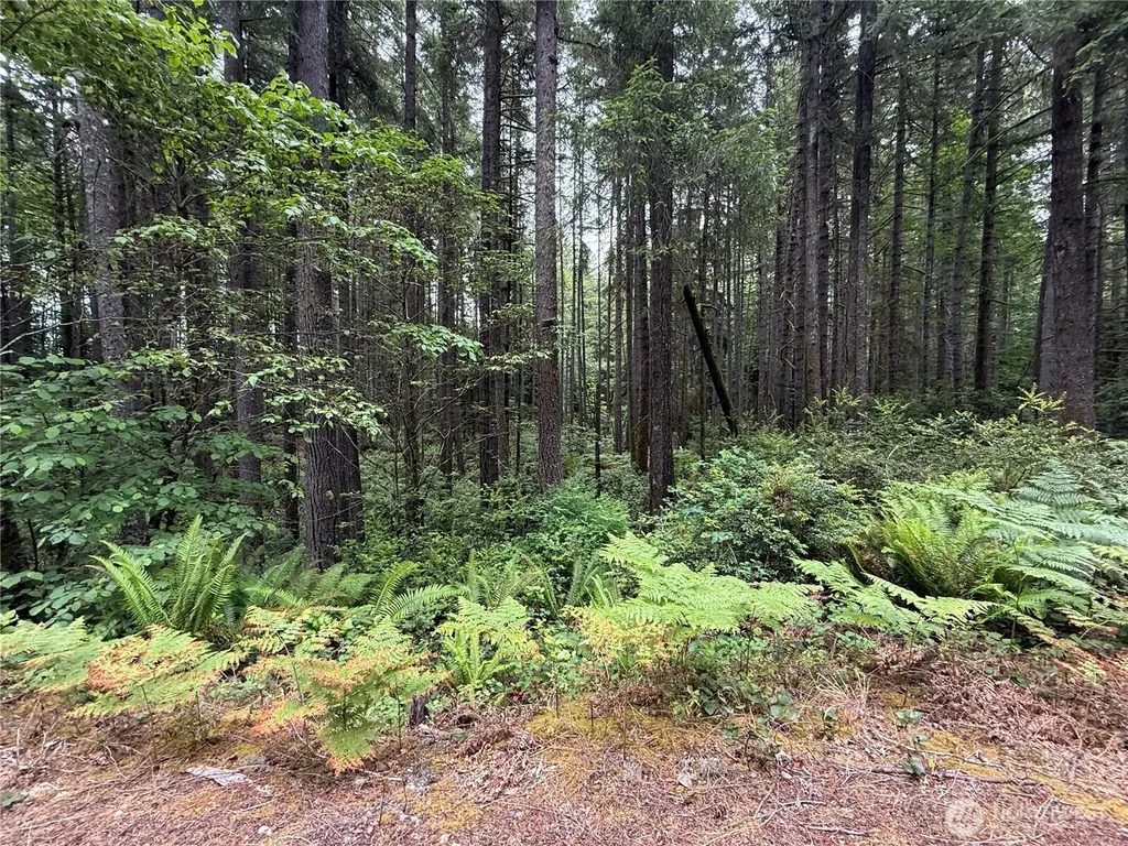 13257 118th Avenue NW Gig Harbor WA 98329